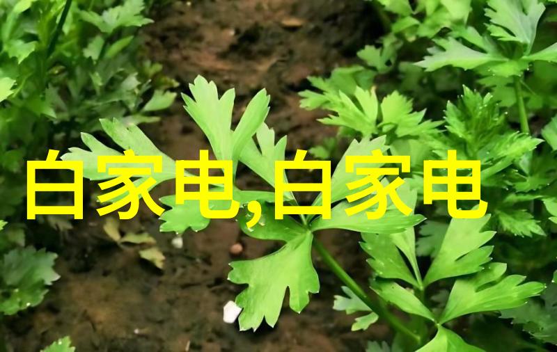 有机颜料空心桨叶干燥机