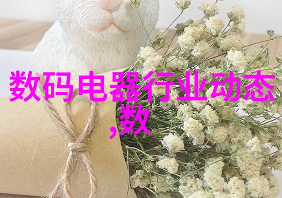 土壤有机碳消解仪