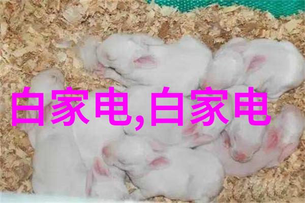 绍兴中仪投入式液位计
