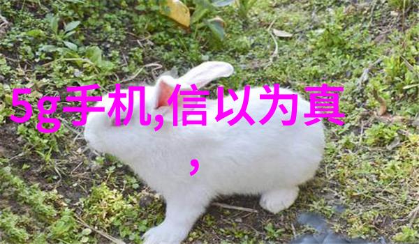 冻胶研磨分散机