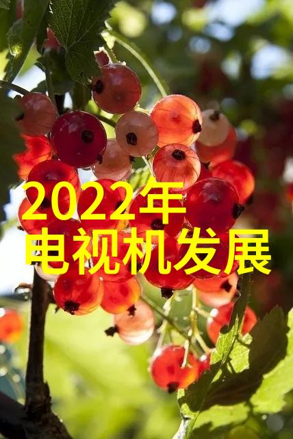 HI98509 HI98509 温度测定仪