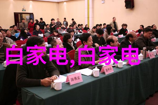 胶囊分装版