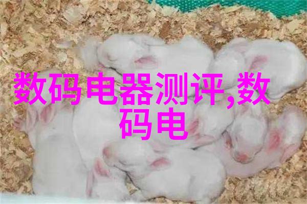 吊顶式冷风机