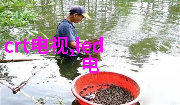 温度记录仪迅鹏WPR80A